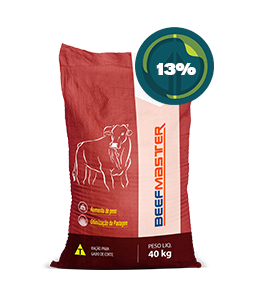 BeefMaster | 13%