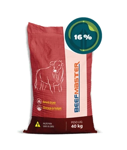 BeefMaster | 16%