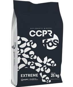 CCPR Fós | Extreme