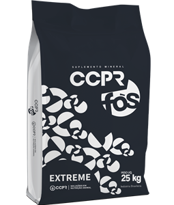 CCPR Fs | Extreme