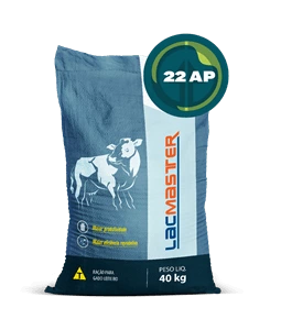LACMASTER | 22 AP
