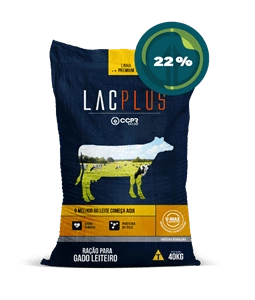 LACPLUS | 22%