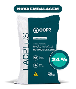 LACPLUS | 24%