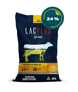 LACPLUS | 24%