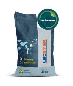 LACSTAR | Pr-parto
